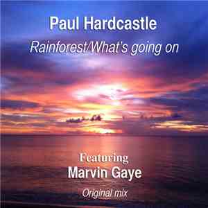 Paul Hardcastle Feat. Marvin Gaye - Rainforest / What's Going On (Original Mix)