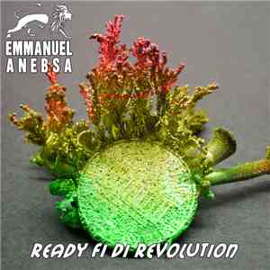 Emmanuel Anebsa - Ready fi di revolution