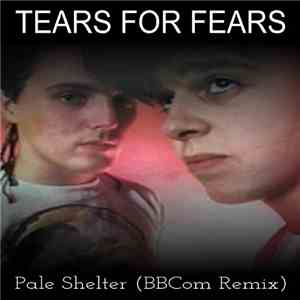 Tears For Fears - Pale Shelter (BBCom Remix)