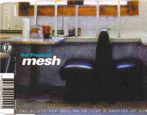 Mesh  - Not Prepared