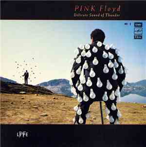 Pink Floyd - Delicate Sound Of Thunder № 1