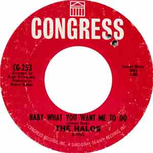 The Halos  - Baby What You Want Me To Do
