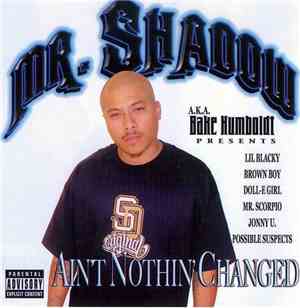 Various - Mr. Shadow Presents: Ain't Nothin' Changed