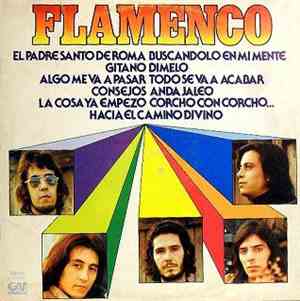 Flamenco  - Flamenco