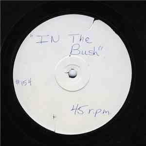 Musique - In The Bush