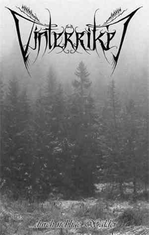 Vinterriket - ...Durch Neblige Wälder
