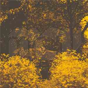 Martin Courtney - Many Moons