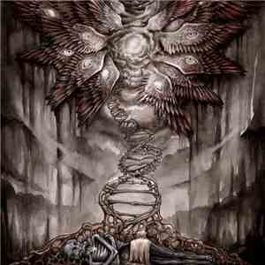 Palace Of Worms - The Ladder