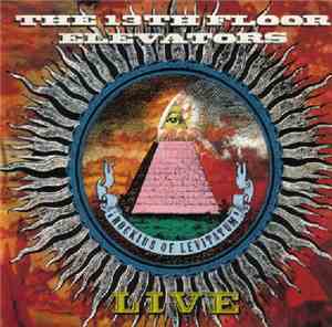 The 13th Floor Elevators - Live