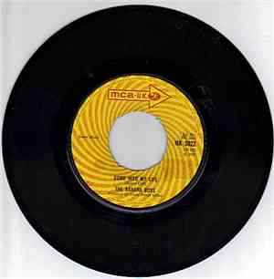 The Banana Boys - Come Into My Life