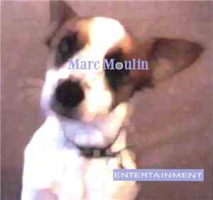 Marc Moulin - Entertainment