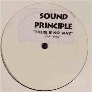 Sound Principle - There Is No Way (UK Garage Mixes)