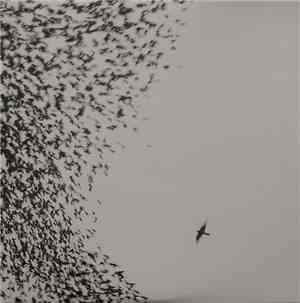 Wilco - Sky Blue Sky