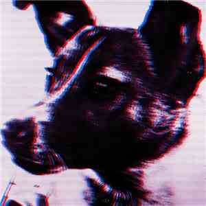 Panthera Krause - Laika