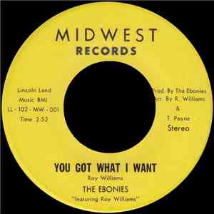 The Ebonies  - You Got What I Want