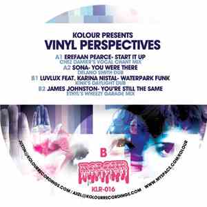 Various - Vinyl Perspectives