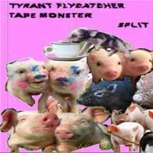 Tyrant Flycatcher / Tape Monster - Split