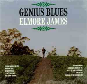 Elmore James - Genius Blues