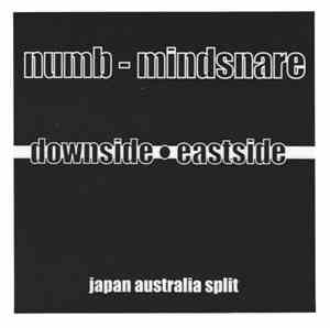 Numb  / Mindsnare - Numb / Mindsnare