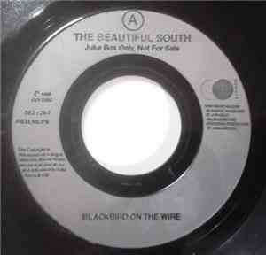 The Beautiful South - Blackbird On The Wire