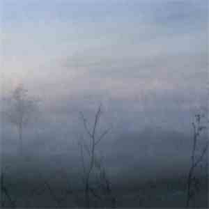Matti Paalanen - Starlit Path