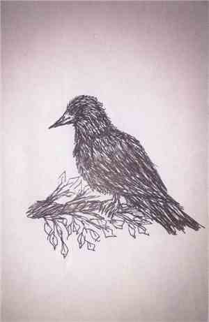 Mean Crow - Mean Crow