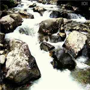 room101 - River