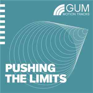 Various - Pushing The Limits