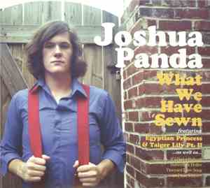 Joshua Panda - What We Have Sewn