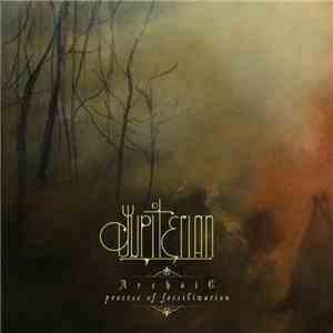 Jupiterian - Archaic: Process of Fossilization