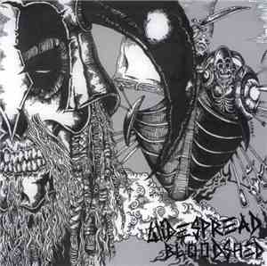 Widespread Bloodshed / Brody's Militia / Cockroach  / No Value - Widespread Bloodshed / Scumfuck / No Value / Cockroach