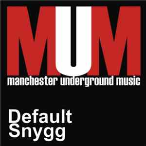 Default  - Snygg