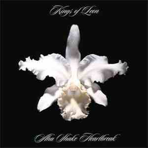 Kings Of Leon - Aha Shake Heartbreak