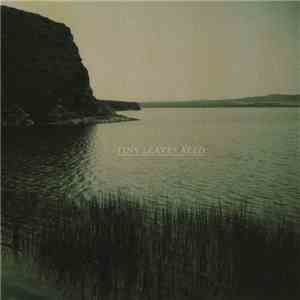 Tiny Leaves - Reed