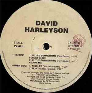 David Harleyson - In The Summertime