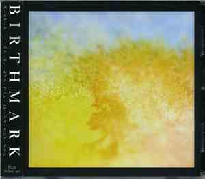 Birthmark - How You Look When You're Falling Down