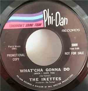 The Ikettes - What'cha Gonna Do (When I Leave You)