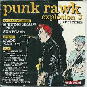Various - Punk Rawk Explosion 3