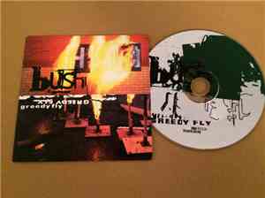 Bush - Greedy Fly
