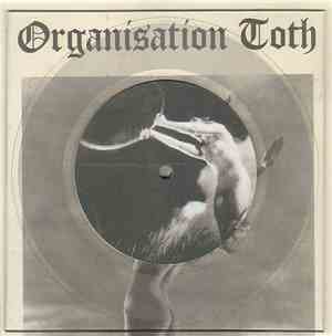 Organisation Toth - Tribute