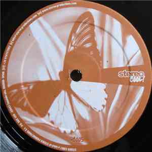 Perfect Sense - Bumba