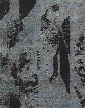 Restive Plaggona - Without Principles