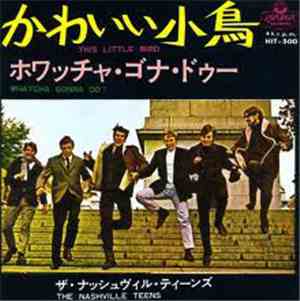 The Nashville Teens - This Little Bird / Whatcha Gonna Do?