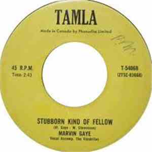 Marvin Gaye - Stubborn Kind Of Fellow / It Hurt Me Too