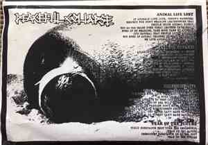 Peaceful Collapse / Blistering Light - Peaceful Collapse / Blistering Light