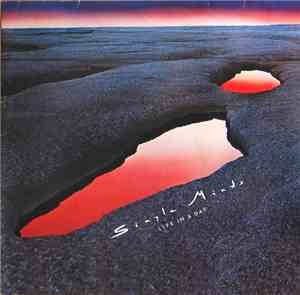 Simple Minds - Life In A Day