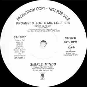 Simple Minds - Promised You A Miracle