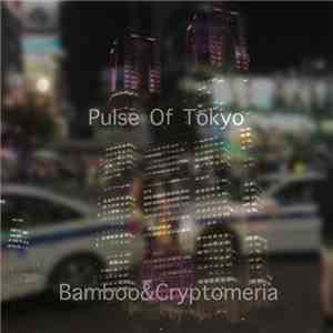 Voile - Pulse Of Tokyo