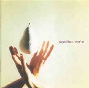 Sugar Plant - Dryfruit