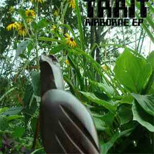 Trait  - Airborne